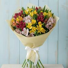 Букет цветов из:  Альстромерии в Довольном