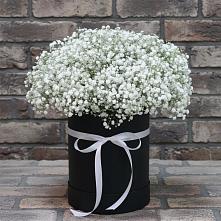 Цветочная композиция из Гипсофила в шляпной коробке в Довольном