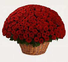 Премиум букет из: Розы в Довольном